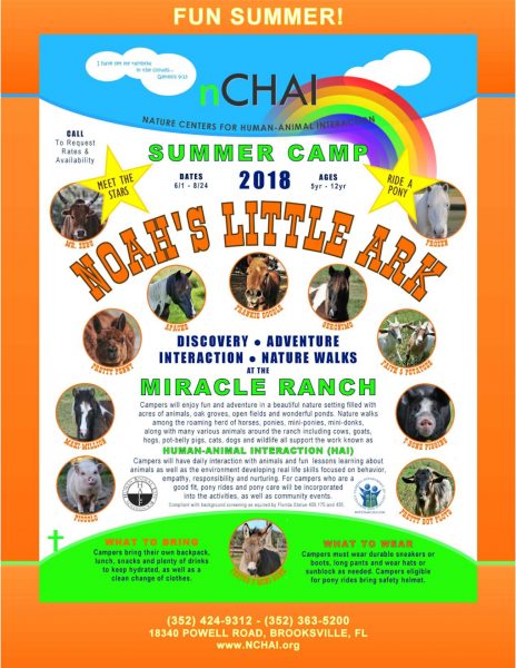 noahs little ark camp