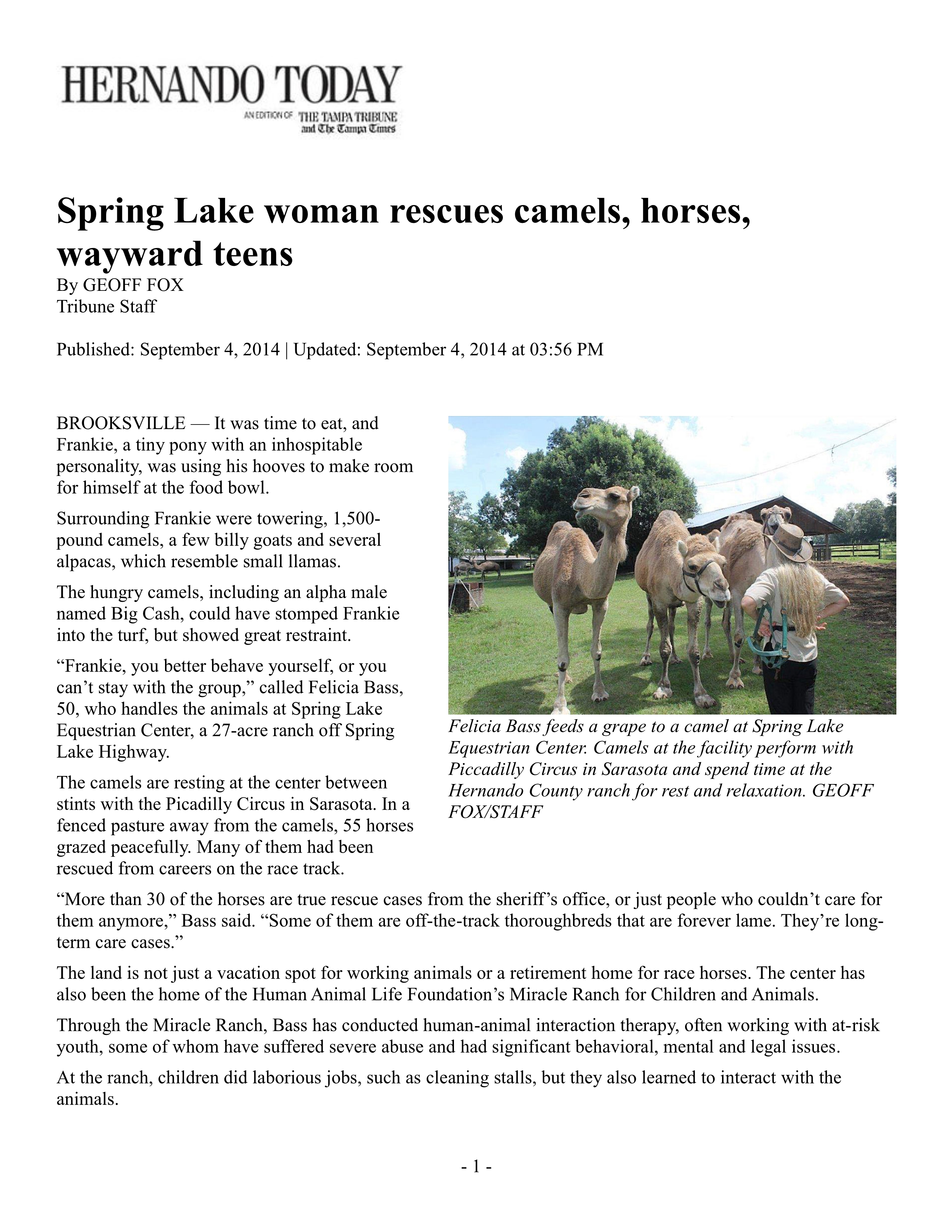 Spring Lake woman rescues camels, horses, wayward teens 09-04-2014 Pg1