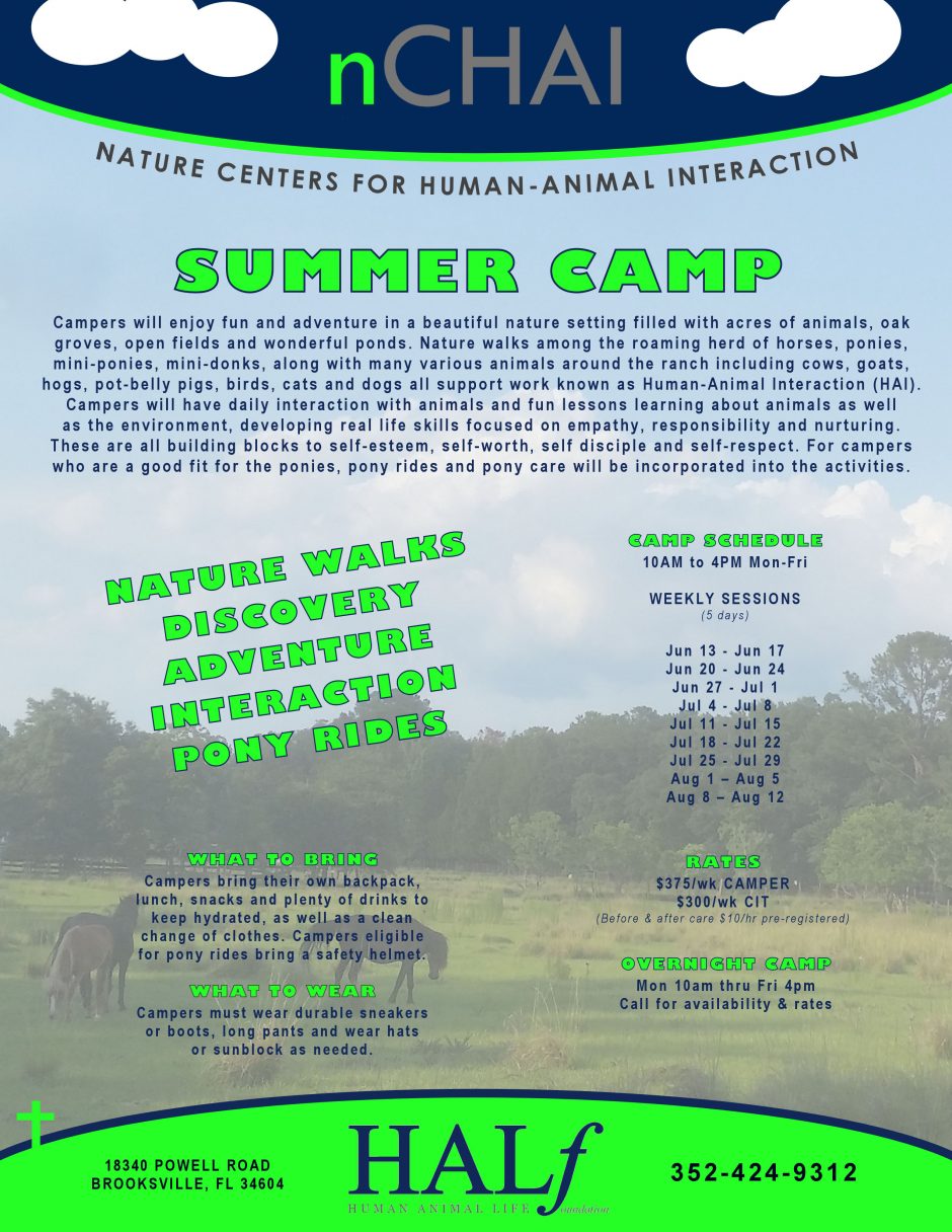 nCHAI camp flyer 2016